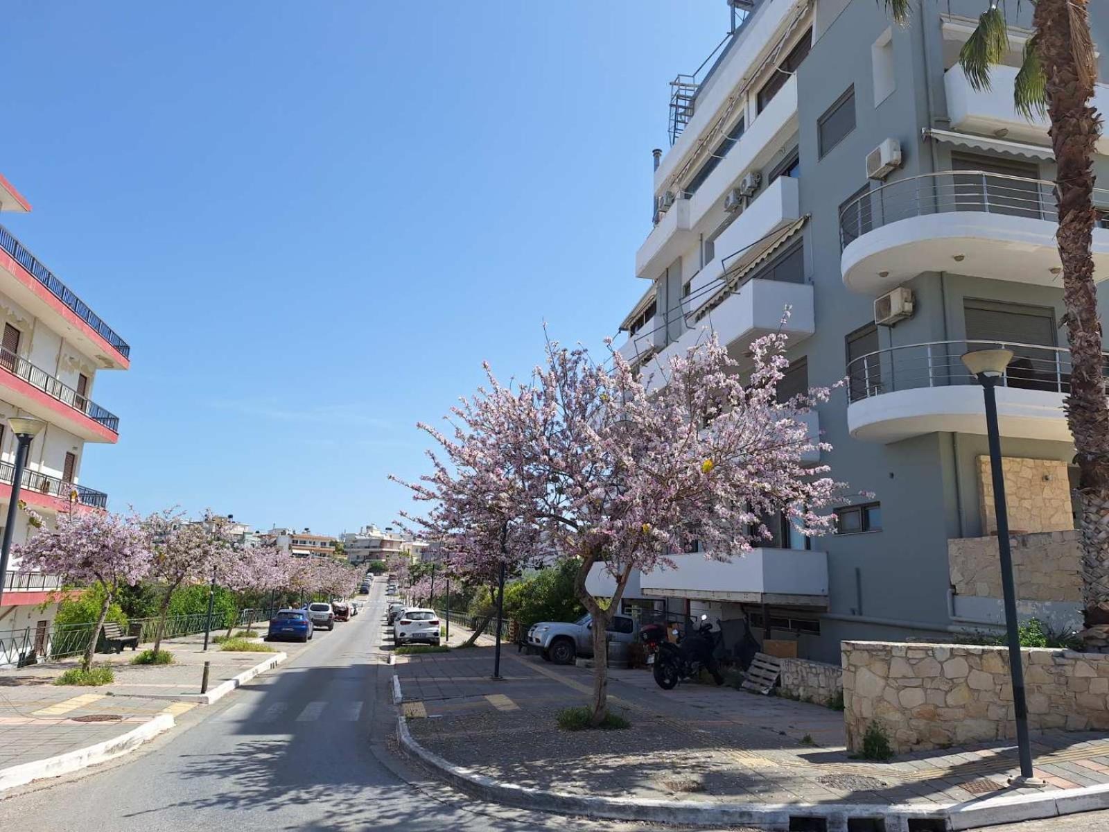 Iriana'S Apartments In Center Chania  Luaran gambar